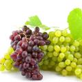 Грозде сн. loeul-et-piriot.com Грозде