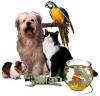 Домашни любимци сн. petclassifieds.us Домашни любимци