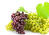 Грозде сн. loeul-et-piriot.com Грозде