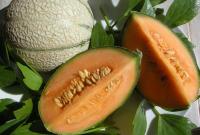 Пъпеш сн. provencefoodandwine.com Пъпеш